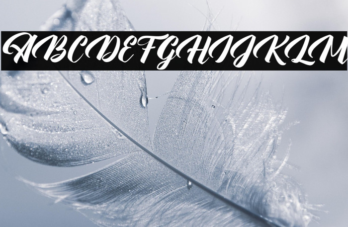 WallingtonFREE Example 2