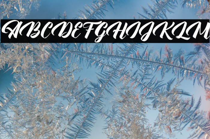 WallingtonFREE Example 3