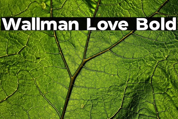 Wallman Love Bold Example 3
