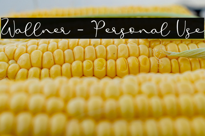 Wallner - Personal Use Example 1