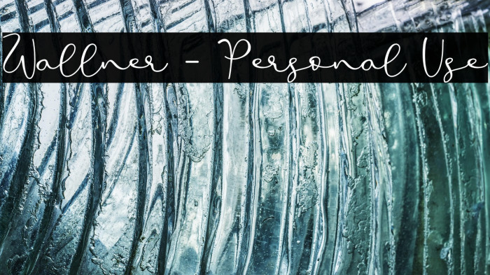 Wallner - Personal Use Example 2