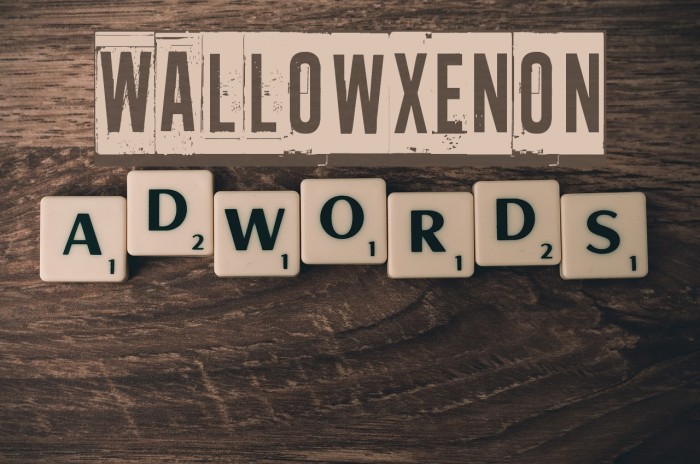 Wallowxenon Font examples