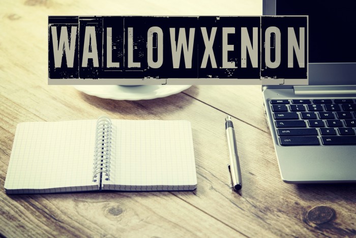 Wallowxenon Font examples
