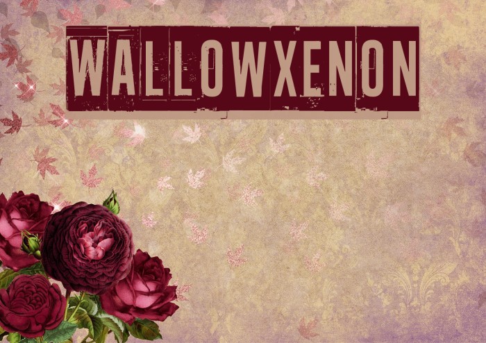 Wallowxenon Font examples
