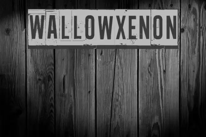 Wallowxenon Font examples