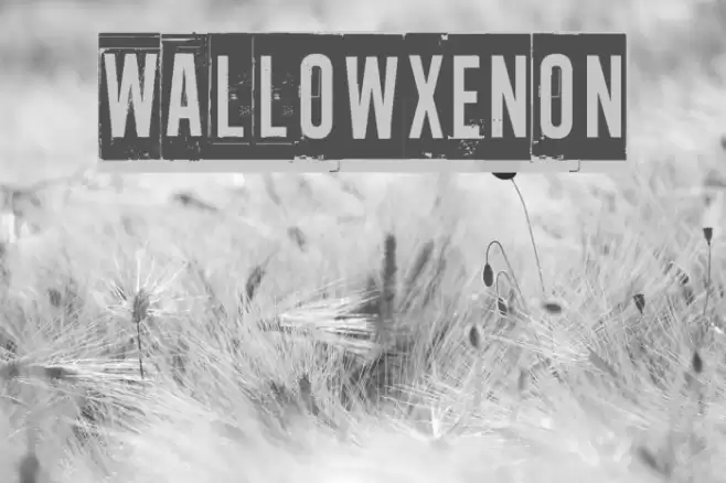 Wallowxenon Font examples