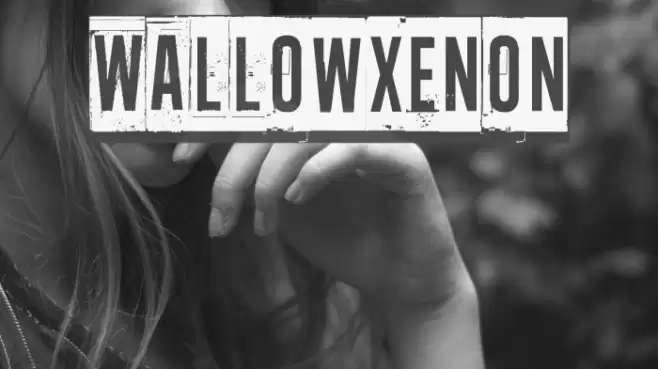 Wallowxenon Font examples