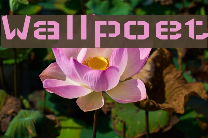 Wallpoet Font examples