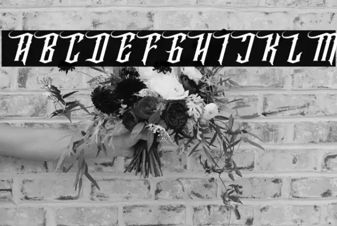 Wallrous Italic Font examples