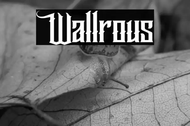 Wallrous Font examples