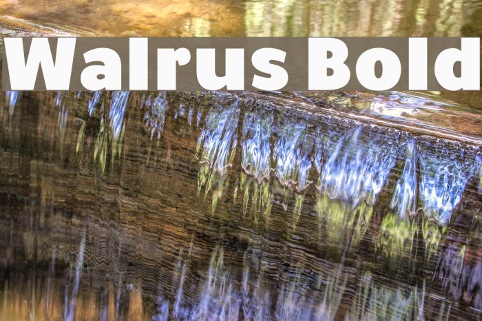 Walrus Bold Font examples