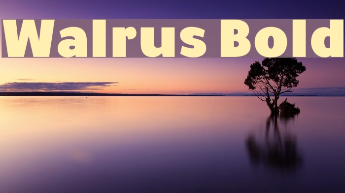 Walrus Bold Font examples