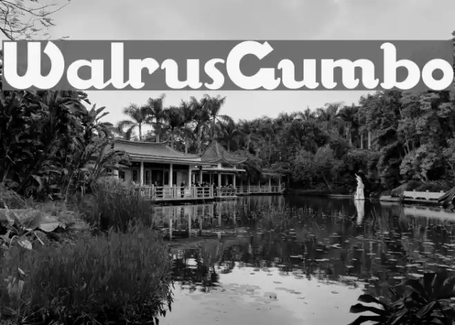 WalrusGumbo Font examples