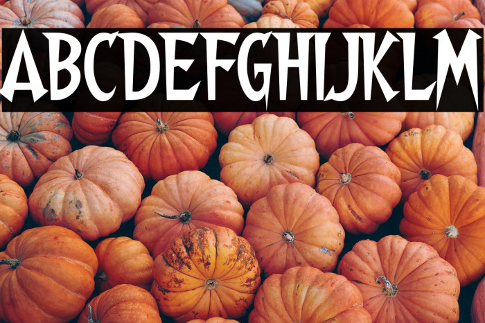 Walshes-Regular Example 1