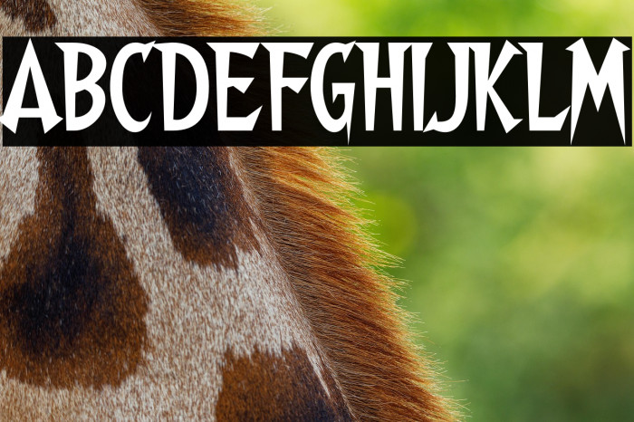 Walshes-Regular Example 2