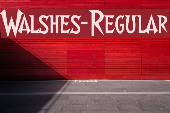 Walshes-Regular Font examples