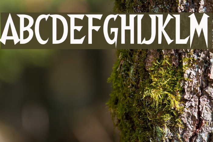 Walshes Font examples