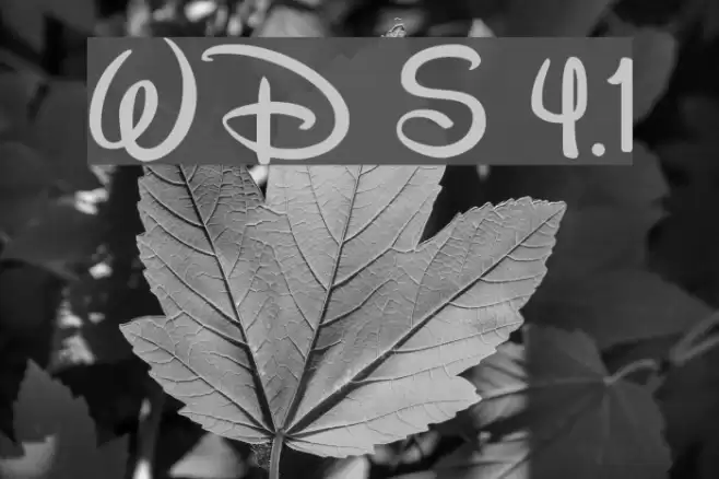 Walt Disney Script v4.1 Polices examples