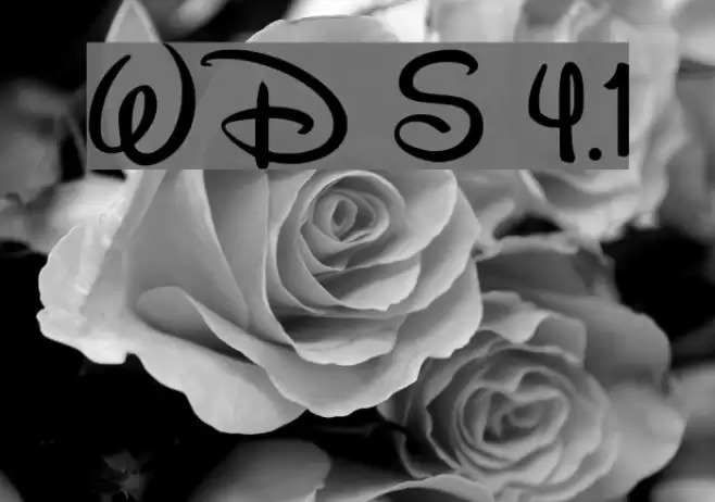 Walt Disney Script v4.1 Polices examples