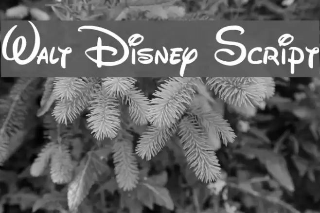 Walt Disney Script フォント examples
