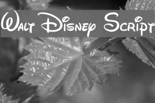 Walt Disney Script フォント examples