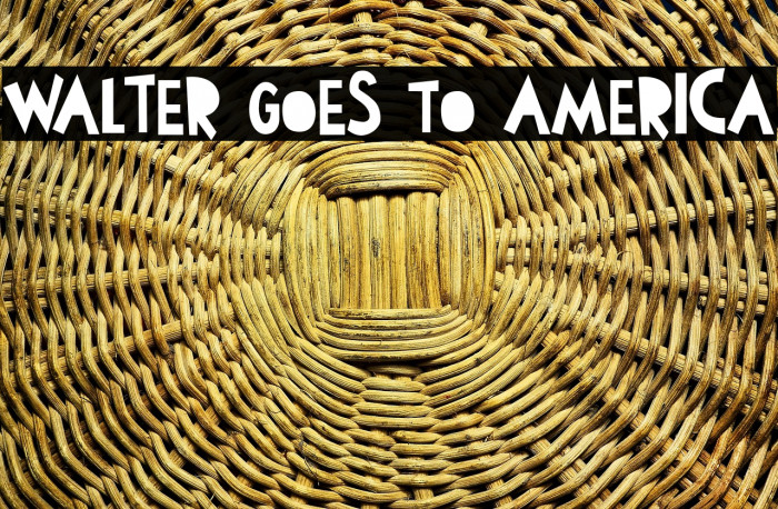 Walter Goes To America Example 1