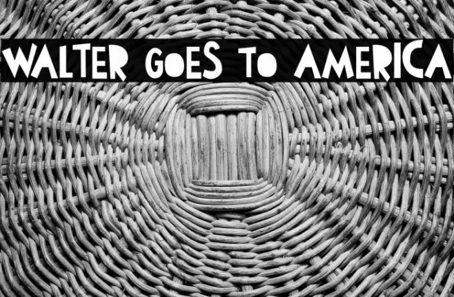 Walter Goes To America Font examples