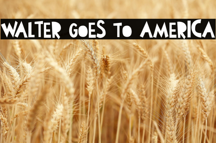 Walter Goes To America Example 2