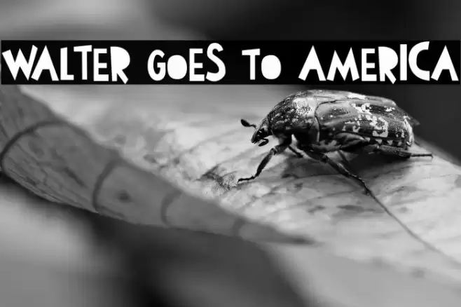Walter Goes To America Font examples