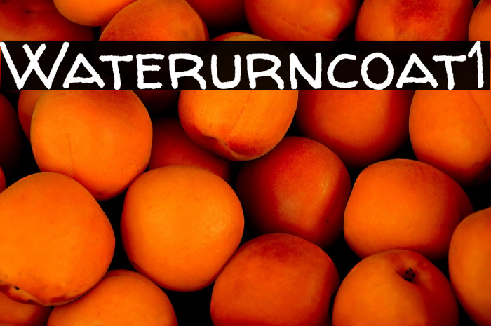 Walter Turncoat1 Example 2