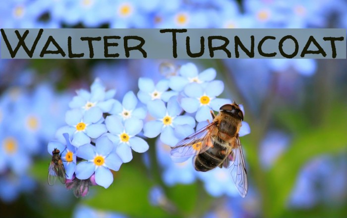 Walter Turncoat Font examples