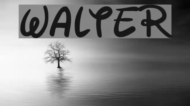 Walter Font examples