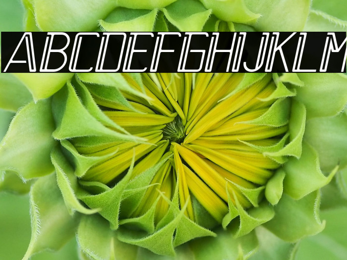 Walterson Italic Example 2