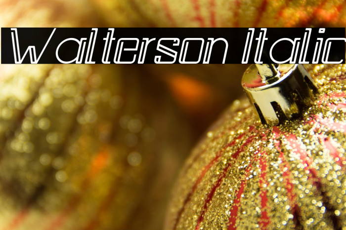 Walterson Italic Example 1