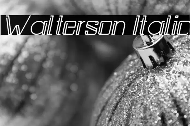 Walterson Italic Font examples