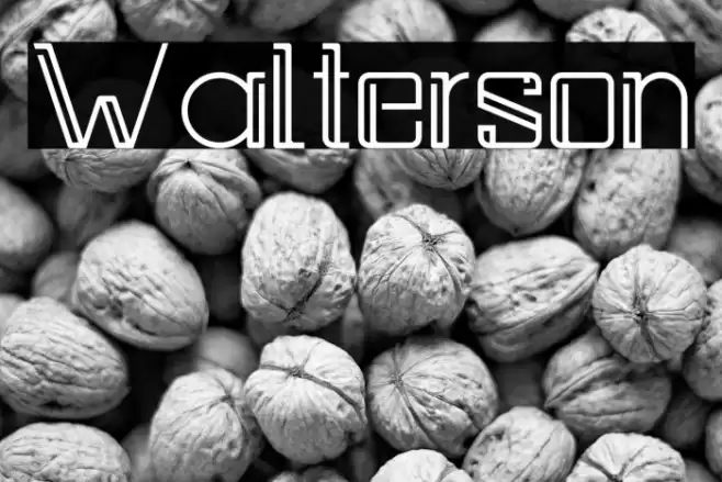 Walterson Font examples