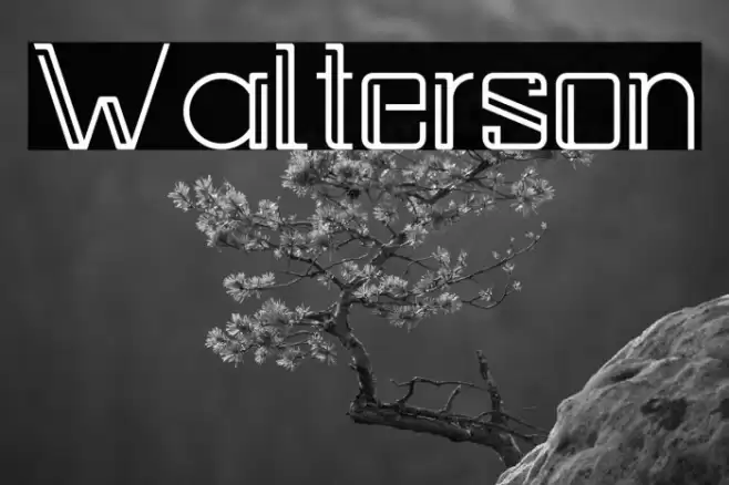 Walterson Font examples