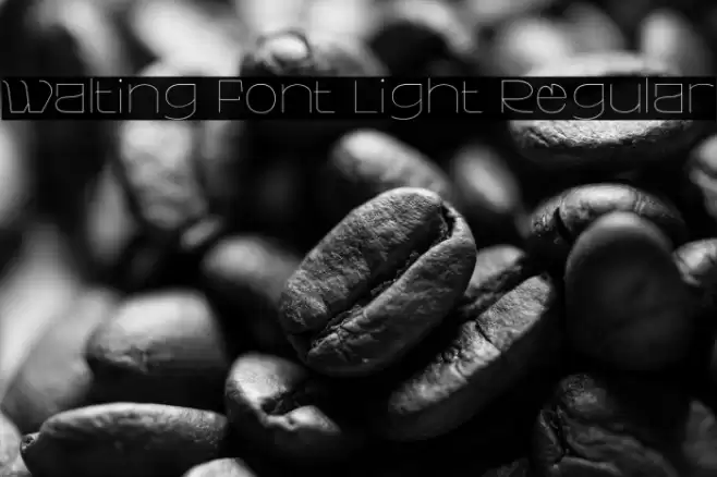 Walting Font Light Regular Font examples