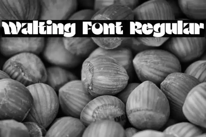 Walting Font Regular Font examples