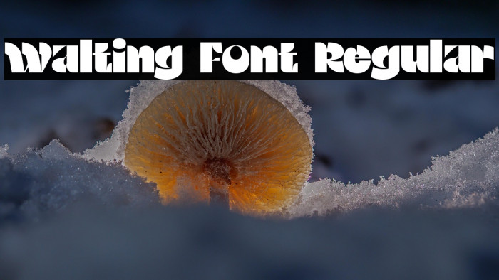Walting Font Regular Example 3
