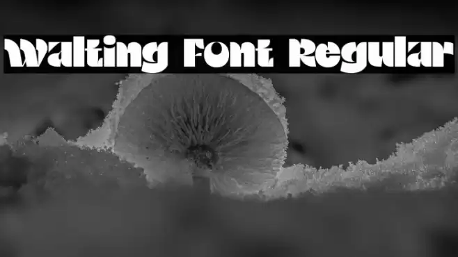 Walting Font Regular Font examples