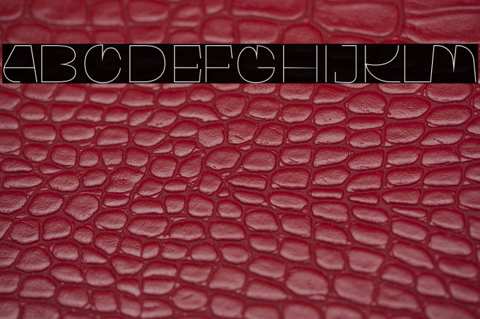 WaltingFont-LightRegular Example 3