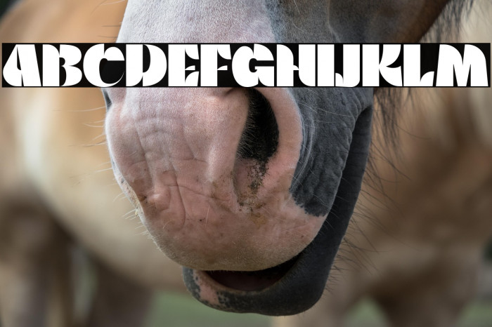 WaltingFont-Regular Example 1