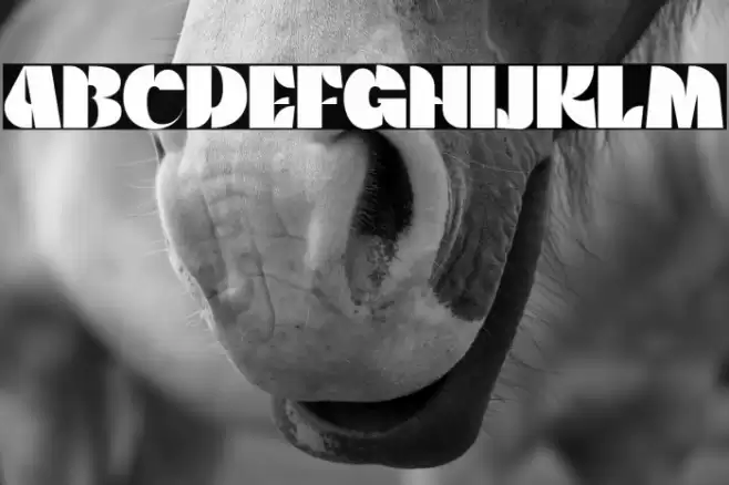 WaltingFont-Regular Font examples