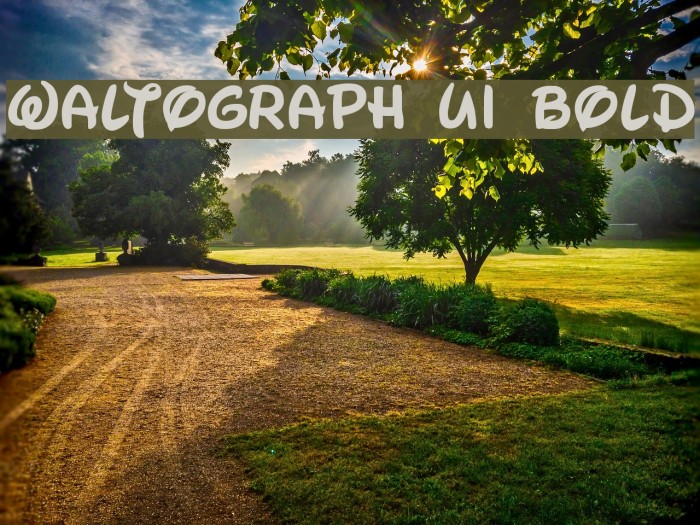 Waltograph UI Bold Example 1