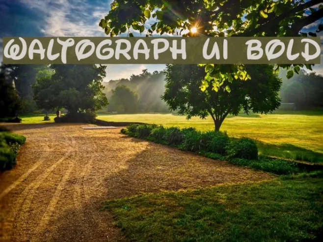 Waltograph UI Bold Example 1