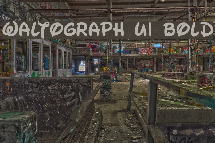 Waltograph UI Bold Example 2