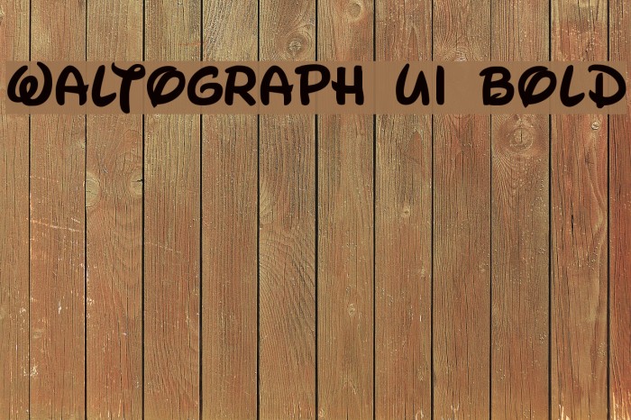 Waltograph UI Bold Example 3
