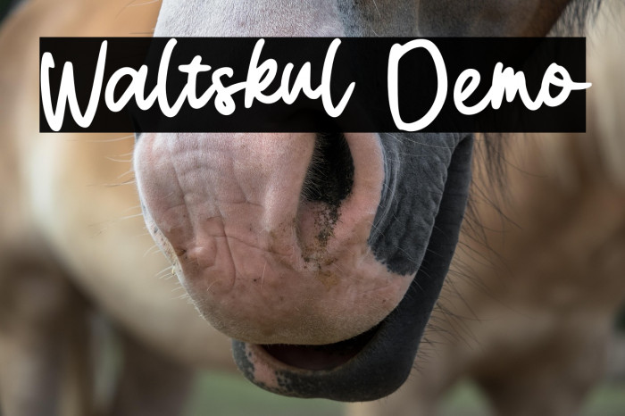 Waltskul Demo Example 3