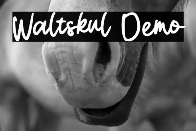 Waltskul Demo Font examples